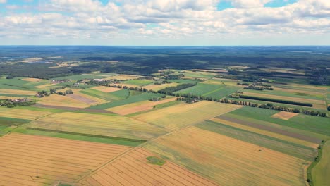 Luftaufnahme-Mit-Der-Landschaftsgeometriestruktur-Vieler-Landwirtschaftlicher-Felder-Mit-Verschiedenen-Pflanzen-Wie-Raps-In-Der-Blütezeit-Und-Grünem-Weizen