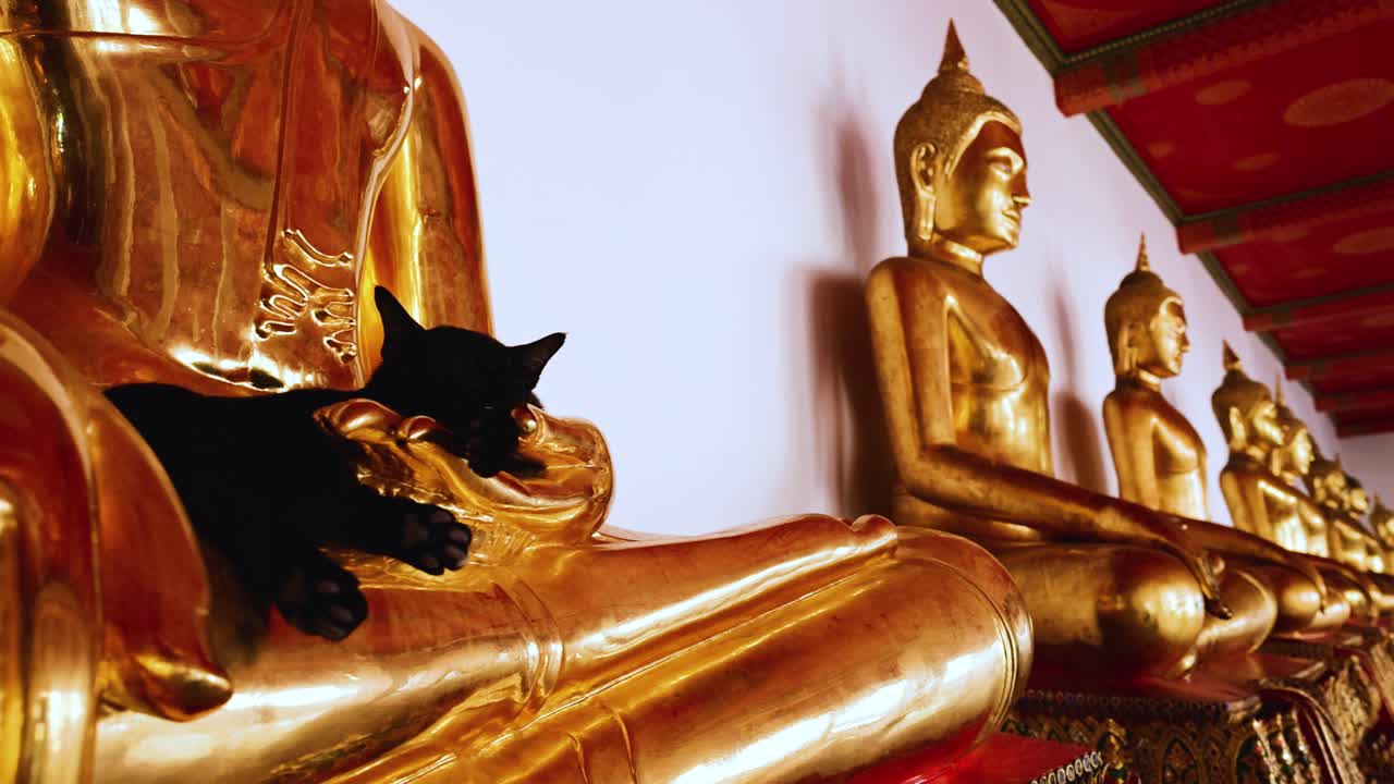 un gato se relaja en una estatua dorada de buda