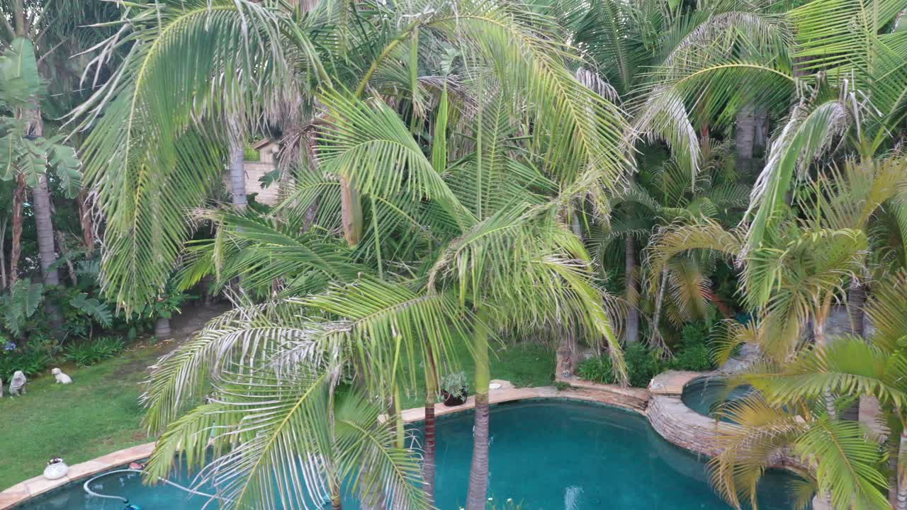 고급스러운 부동산에서 수영장 전망