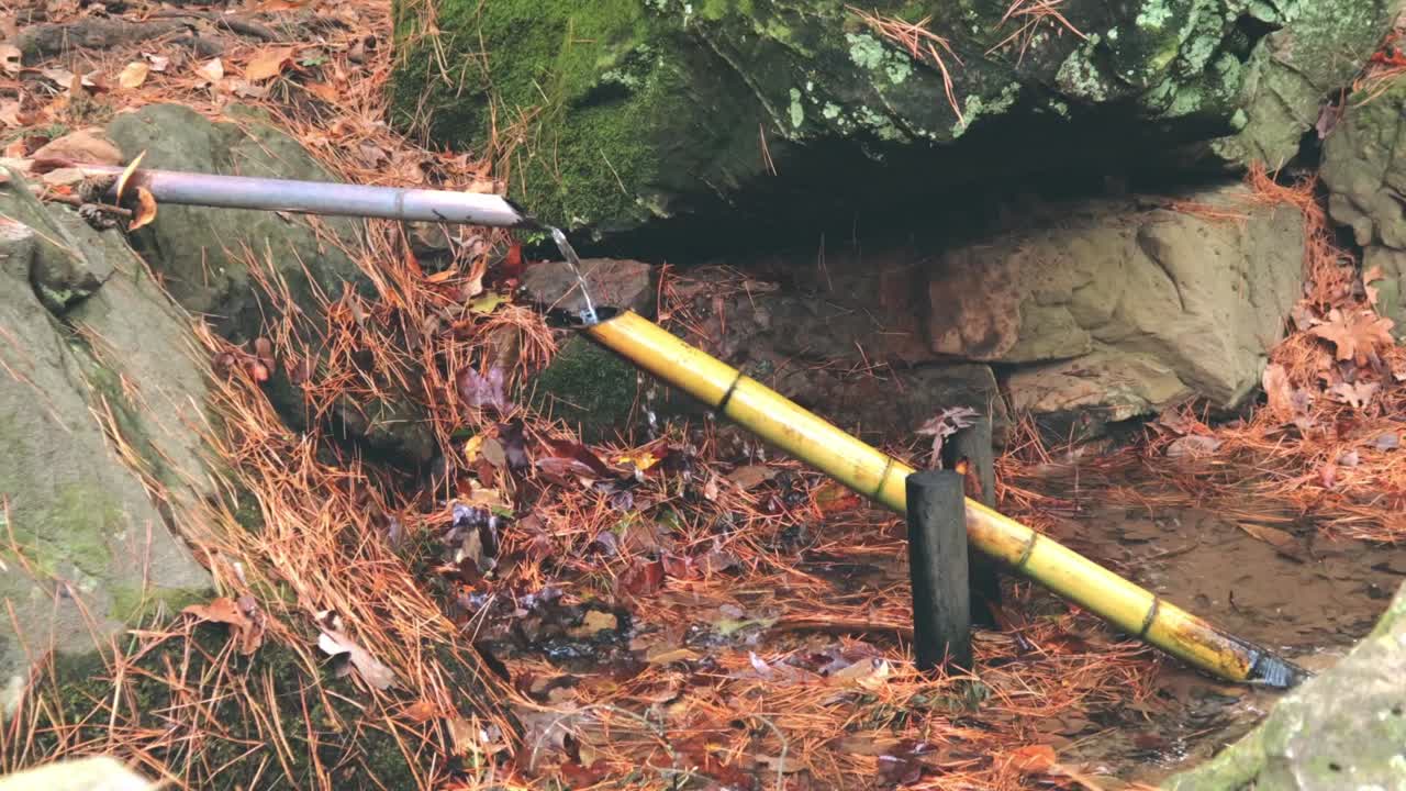 Una fuente de agua japonesa, Shishi Odoshi, también conocida como espantapájaros. El agua fluye hacia la fuente de bambú en un movimiento repetido en un hermoso jardín otoñal rodeado de rocas y follaje.