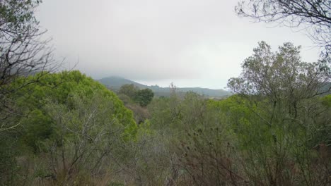 Viento-Que-Sopla-En-Un-Bosque-Idílico-Con-Montañas-Bajo-Un-Cielo-Nublado-En-El-Fondo