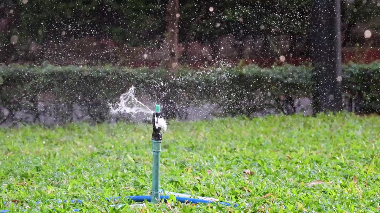 스프링클러가 회전하여 정원을 가로질러 물을 분사합니다.