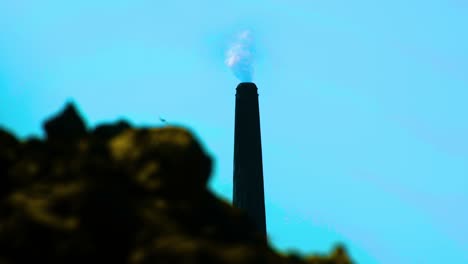 smoke rises from a single tall chimney against a clear blue sky, silhouette of trees, environmental issue