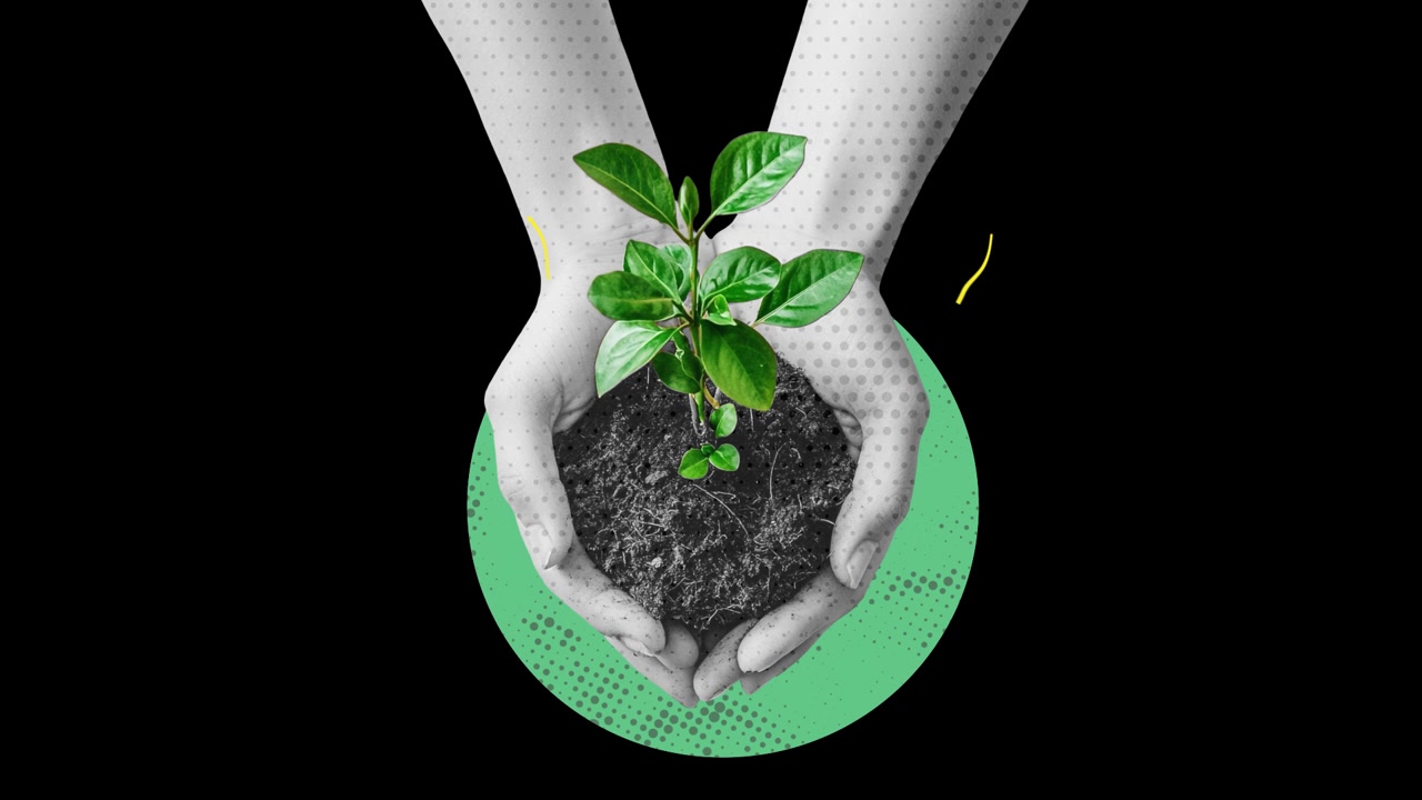 Collage style Sustainability animated elements on alpha channel