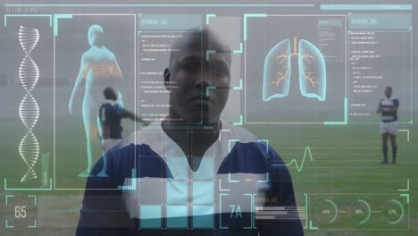 animación de datos y estadísticas del cuerpo humano sobre un jugador de rugby afroamericano