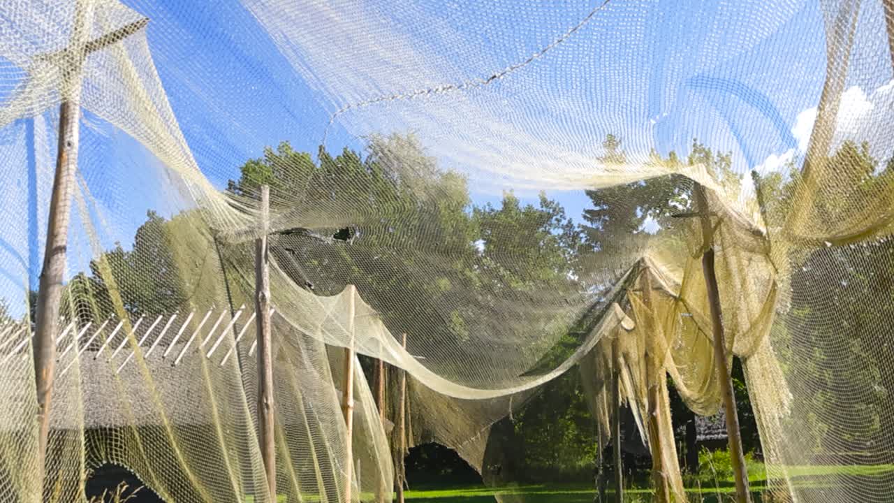 Bottom up view of old traditional fishing nets hanging on wooden poles in a fishing village where log cabins with thatched straw roofs are visible in the sunny summer and grassy green background