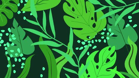 jungle nature blurred background green flowers forest rainforest blur bokeh 4k backgrounds youtube
