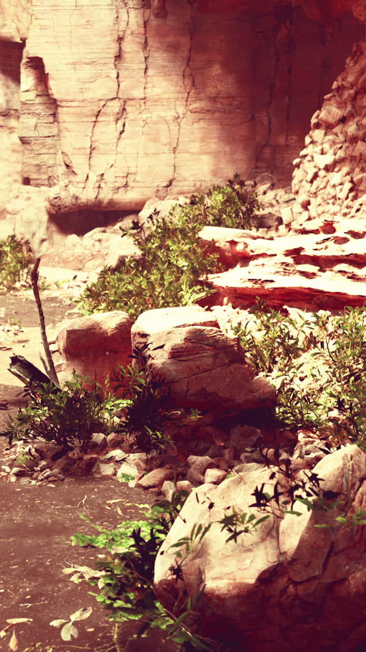 레드 록 캐니언 동굴 장면