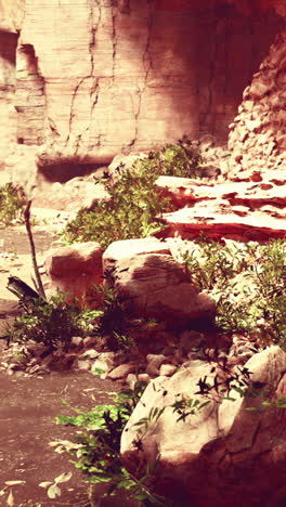 escena de la cueva del cañón de la roca roja