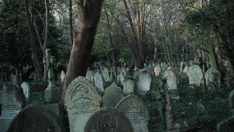 tumbas esparcidas por el bosque en un cementerio inglés