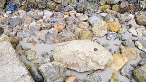 waves gently wash over rocky shoreline