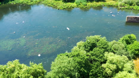 nature scene with beauty river in sunny day. white birds flying over the lake. great landscape of summer nature with green trees and blue water at bright sunlight. aerial view.