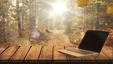 hojas de otoño cayendo contra la computadora portátil 4k