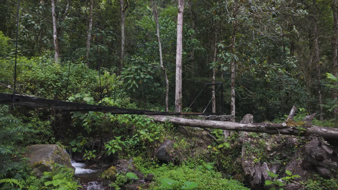Metal walkway structure cutting through dense tropical vegetation in the rainforest of Boquete, Panama, along the scenic Pipeline Trail