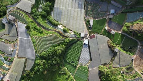 general landscape view of the brinchang district within the cameron highlands area of malaysia