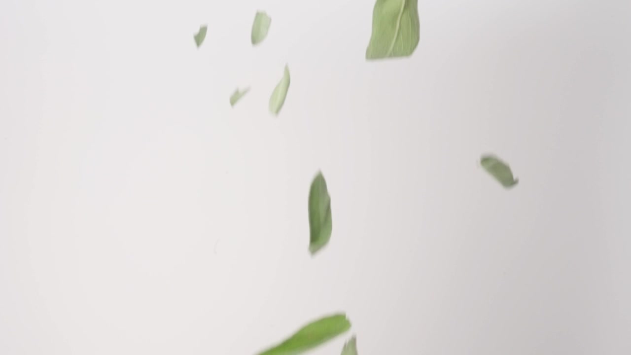 Pezzi di salvia aromatica per il ripieno del Ringraziamento che cadono su uno sfondo bianco, al rallentatore, in primo piano macro.