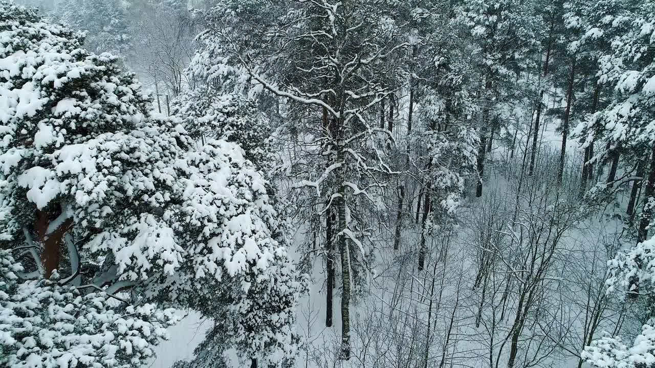 겨울 풍경. 공중 사진