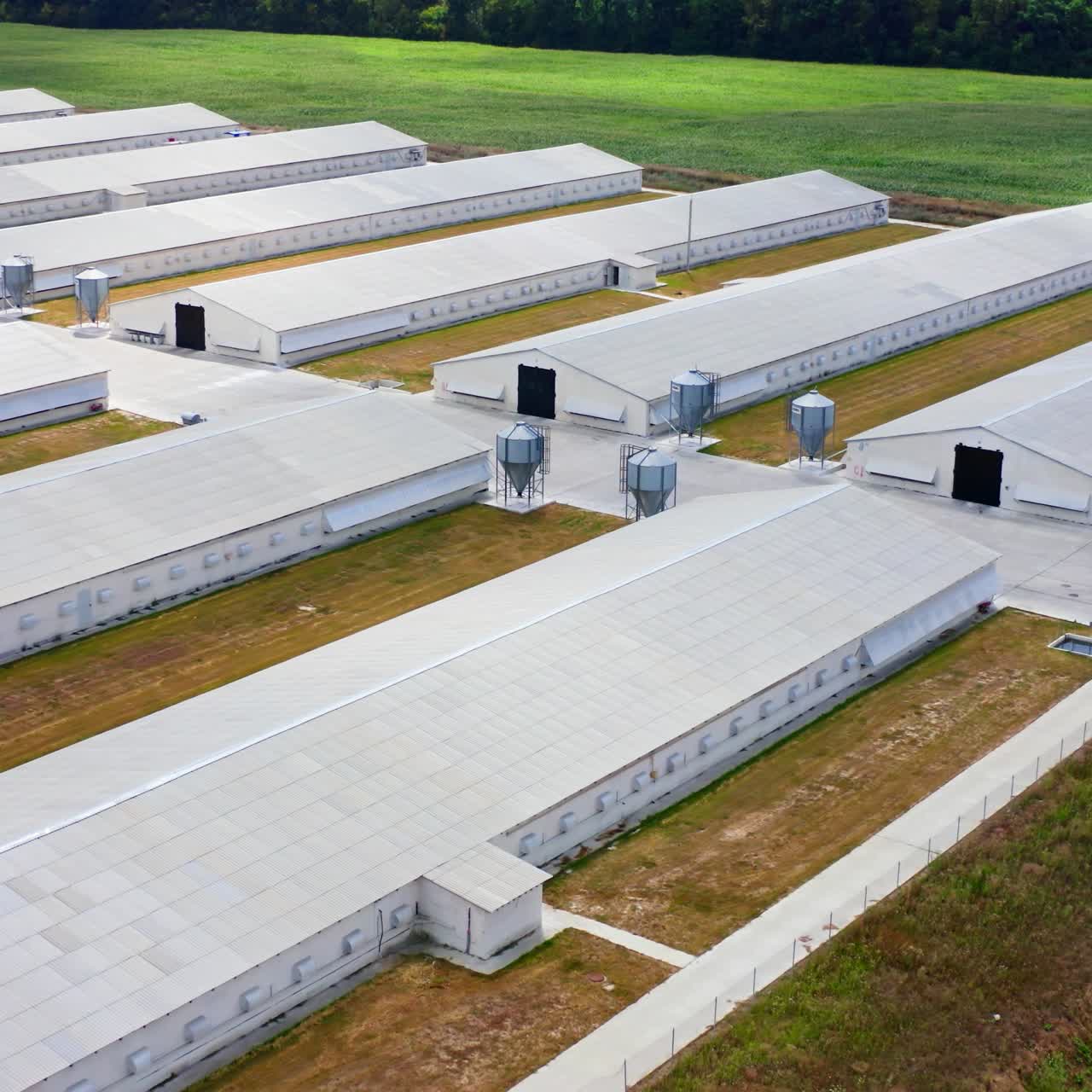 Aerial view of industrial chicken house. Modern farm poultry buildings. Agriculture