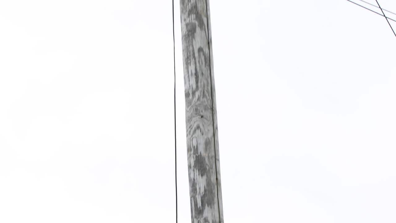 líneas de comunicación sueltas en un poste de infraestructura eléctrica de madera ku que representan un ligero peligro para el público y deben corregirse