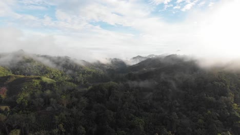 Disparo-De-Drones,-Bosque-En-Las-Nubes,-Durante-La-Luz-Del-Día