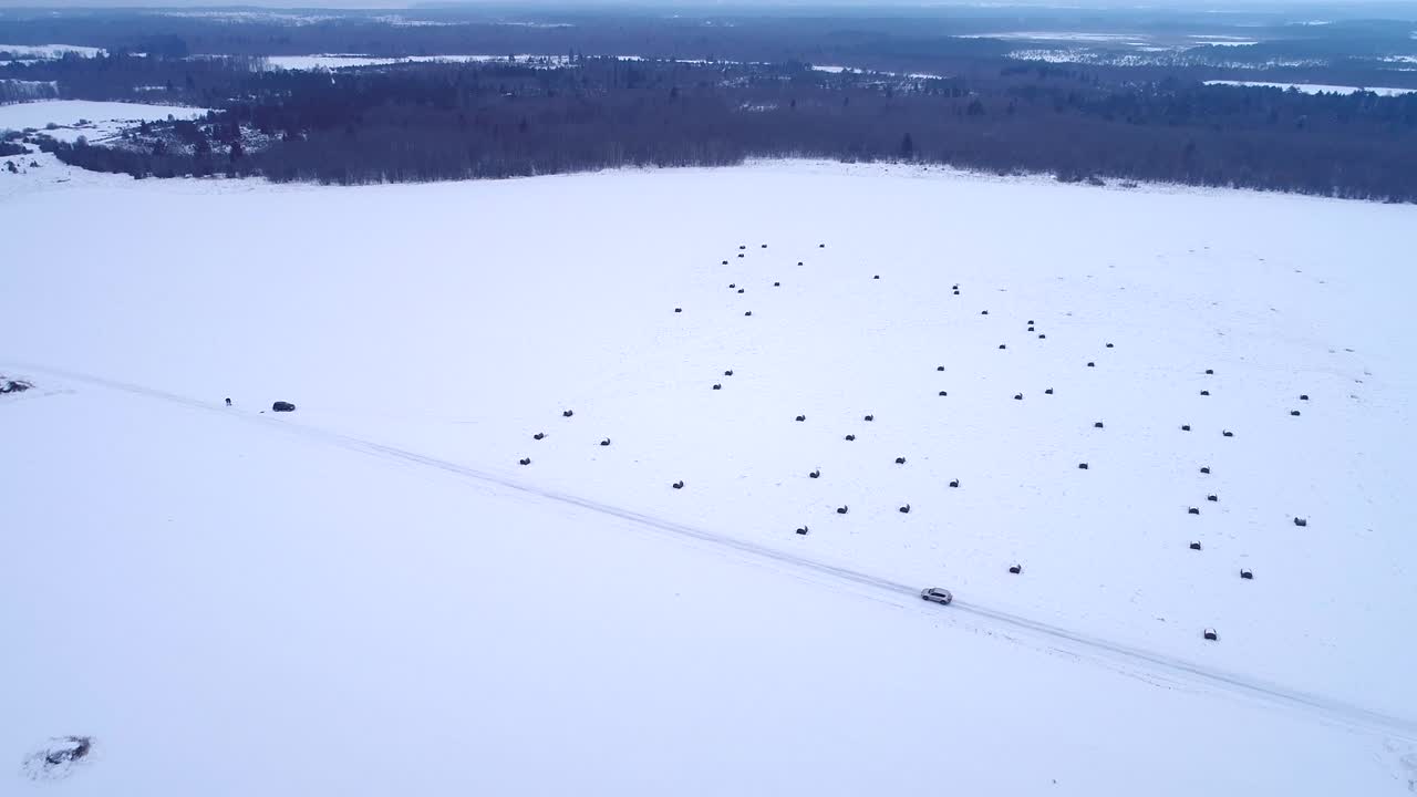 vista aérea de un coche conduciendo en una carretera nevada en la isla de formsi, estonia.