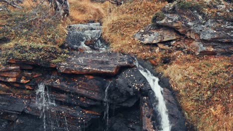 a small stream cascades over the withered moss-covered stones