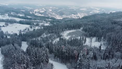 Vista-Aérea-De-Las-Montañas-Nevadas-De-Jizera-En-Bohemia-Con-Bosques-Y-Valles-Cubiertos-De-Nieve.