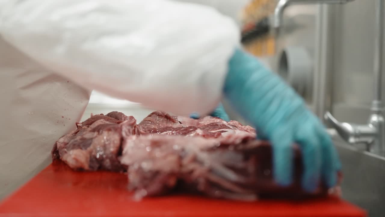 Close up of raw pork meat prepared on cutting board in industrial kitchen