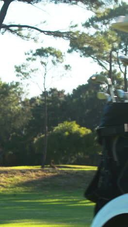 golfer driving in his golf buggy