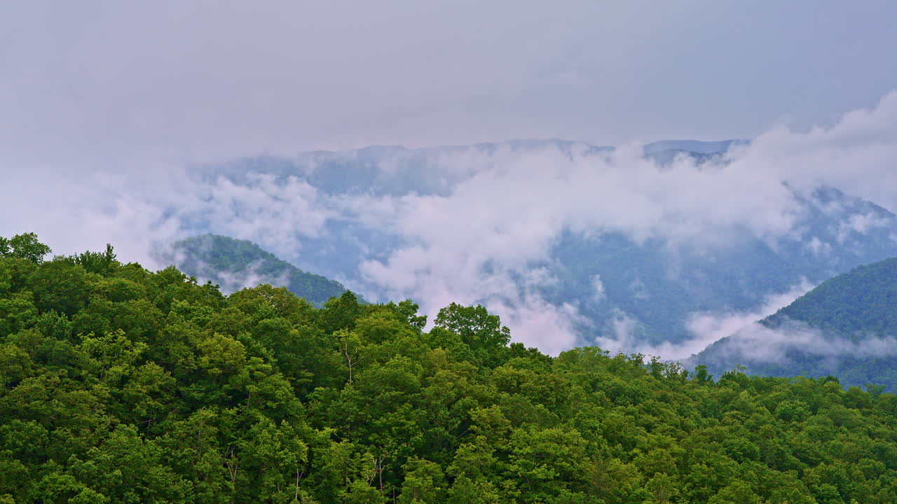 Drone soars across a sea of fog in the Smoky Mountains