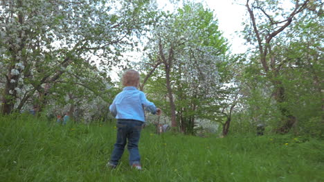 boy walking in the garden