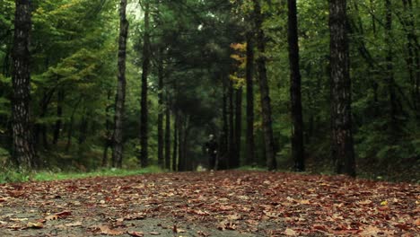 Herbststraße-Zu-Fuß-Im-Parkwald