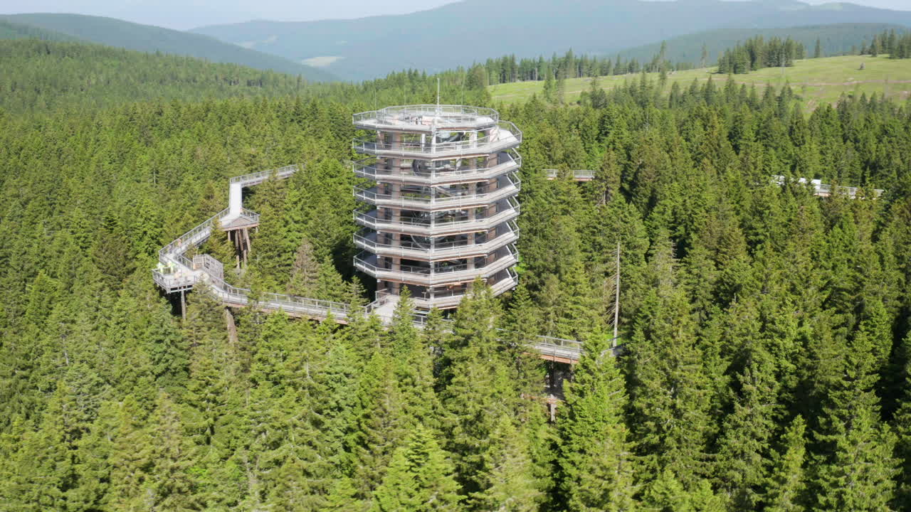 슬로베니아 로글라에 있는 포호르제 나무 꼭대기 산책 주변의 밝은 녹색 침엽수림