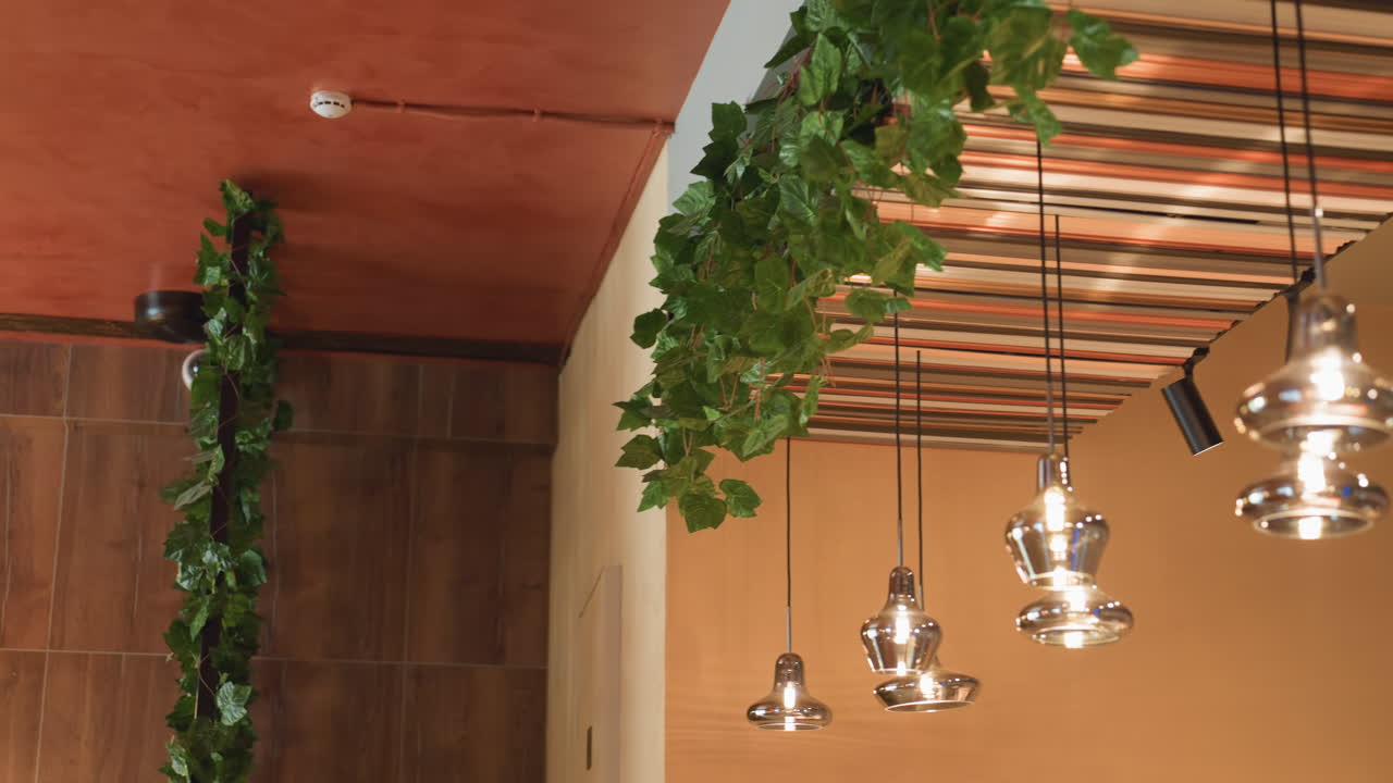 Elegant view of modern bar ceiling featuring hanging glass pendant lights and lush green ivy plants suspended above striped paneling, creating warm stylish ambiance with natural elements