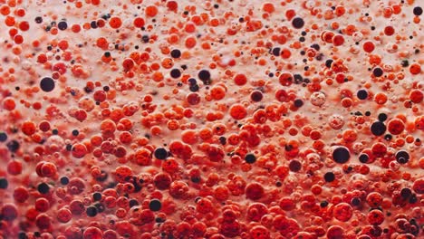 macro shot of many red and dark bubbles slowly falling to ground in water