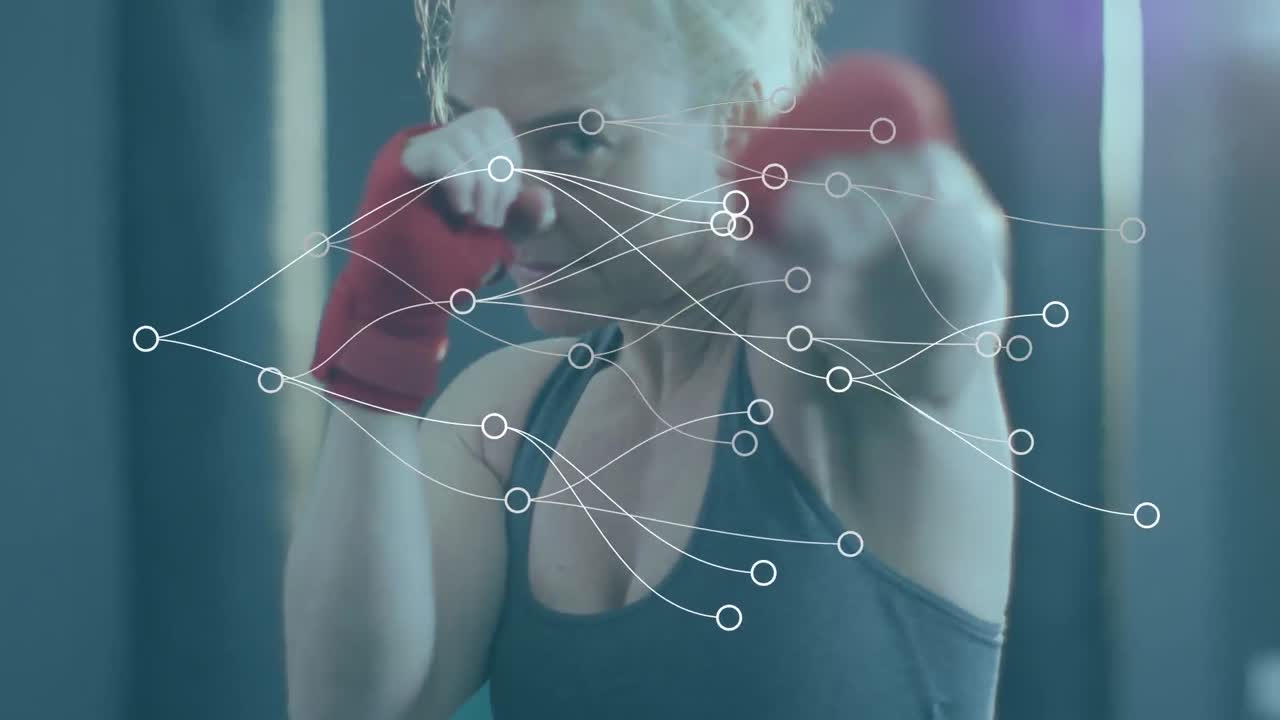 권투 여성에 대한 연결 네트워크의 애니메이션