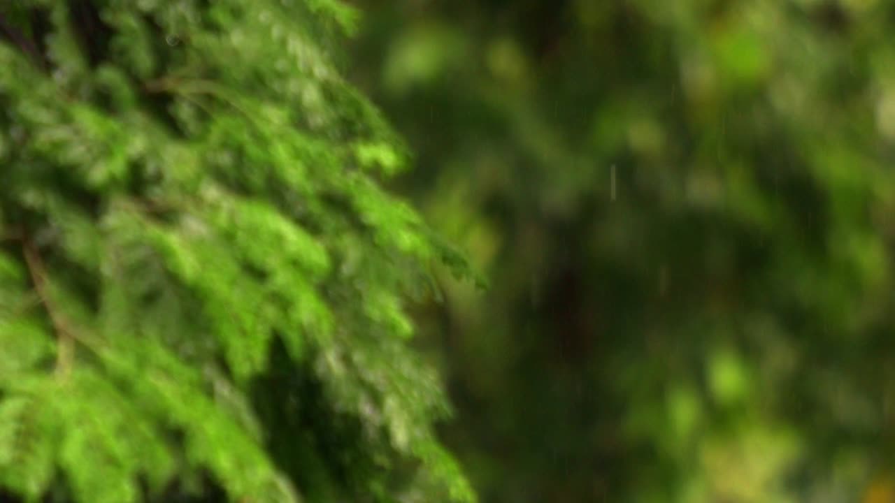 precipitaciones fuertes e intensas en el campo