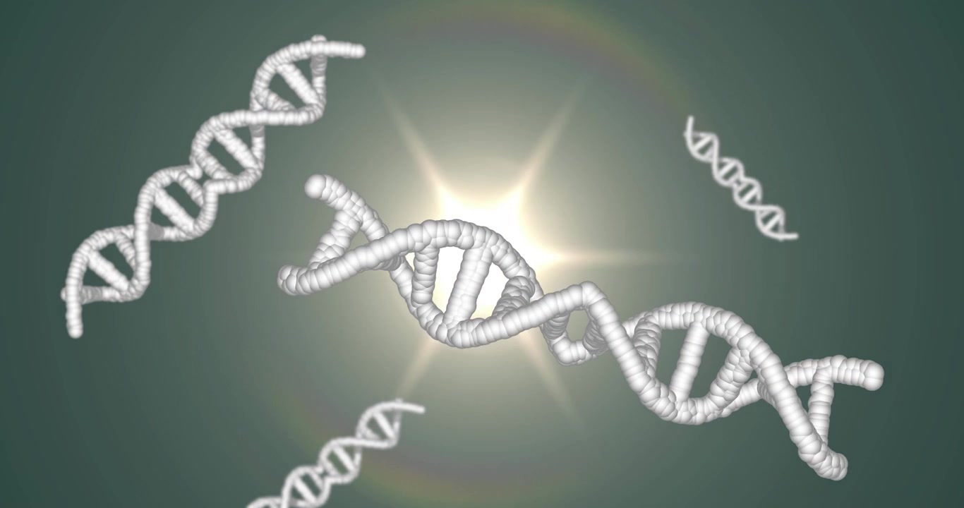 Eliche di DNA bianche 3D fluttuano e ruotano mentre un bagliore pulsa trasformandosi in un'esplosione stellare, illustrando le dinamiche del DNA.