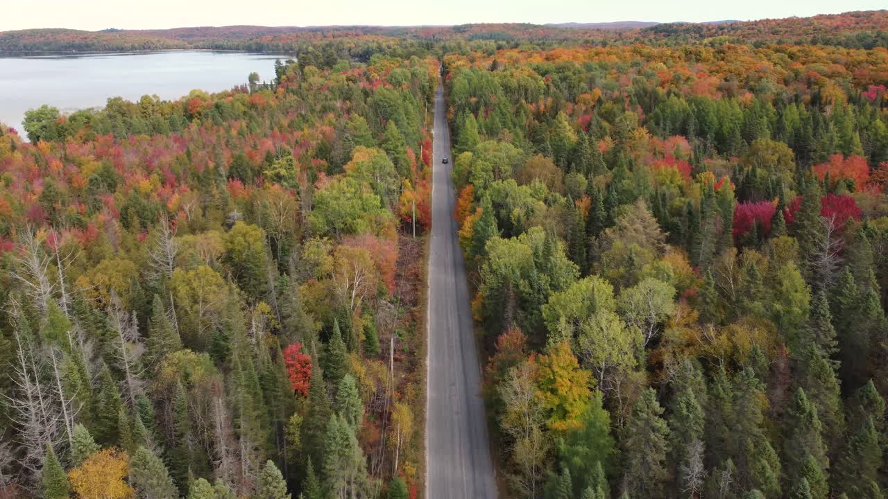 hermoso follaje, junto a la carretera, lago de la reserva rural canadiense en el lado izquierdo, tomas aéreas