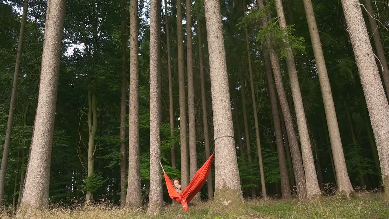 Person relaxes in hammock among tall forest trees in serene setting