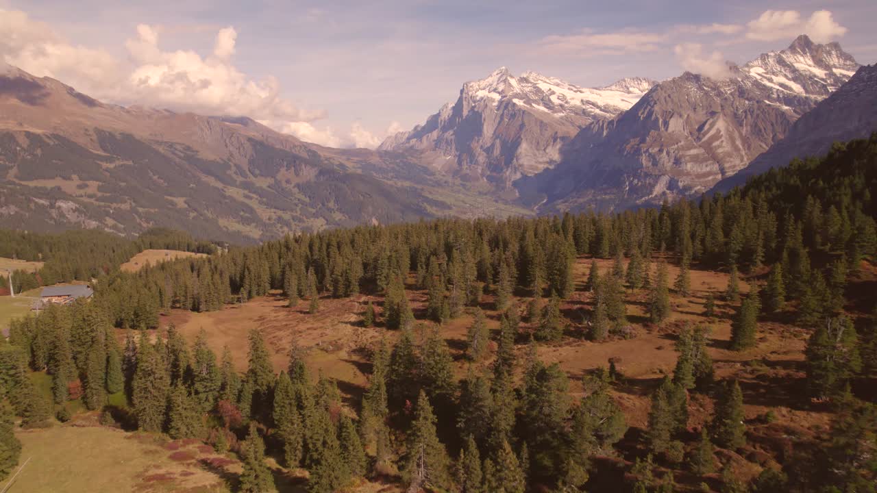 aerial drone footage pushing in over spruce trees revealing Grindelwald and Mount Wetterhorn