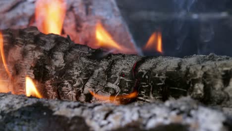 fuego y brasa de cerca con ceniza