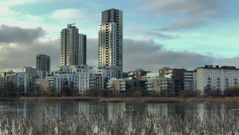 urban nature, skyscrapers and tower blocks with lake and wildlife in foreground, urbanisation