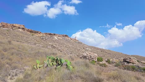 a leisurely exploratory walk near gnejna bay, mgarr, among the dry hills with ta' lippija tower in the background under a blue sky in malta