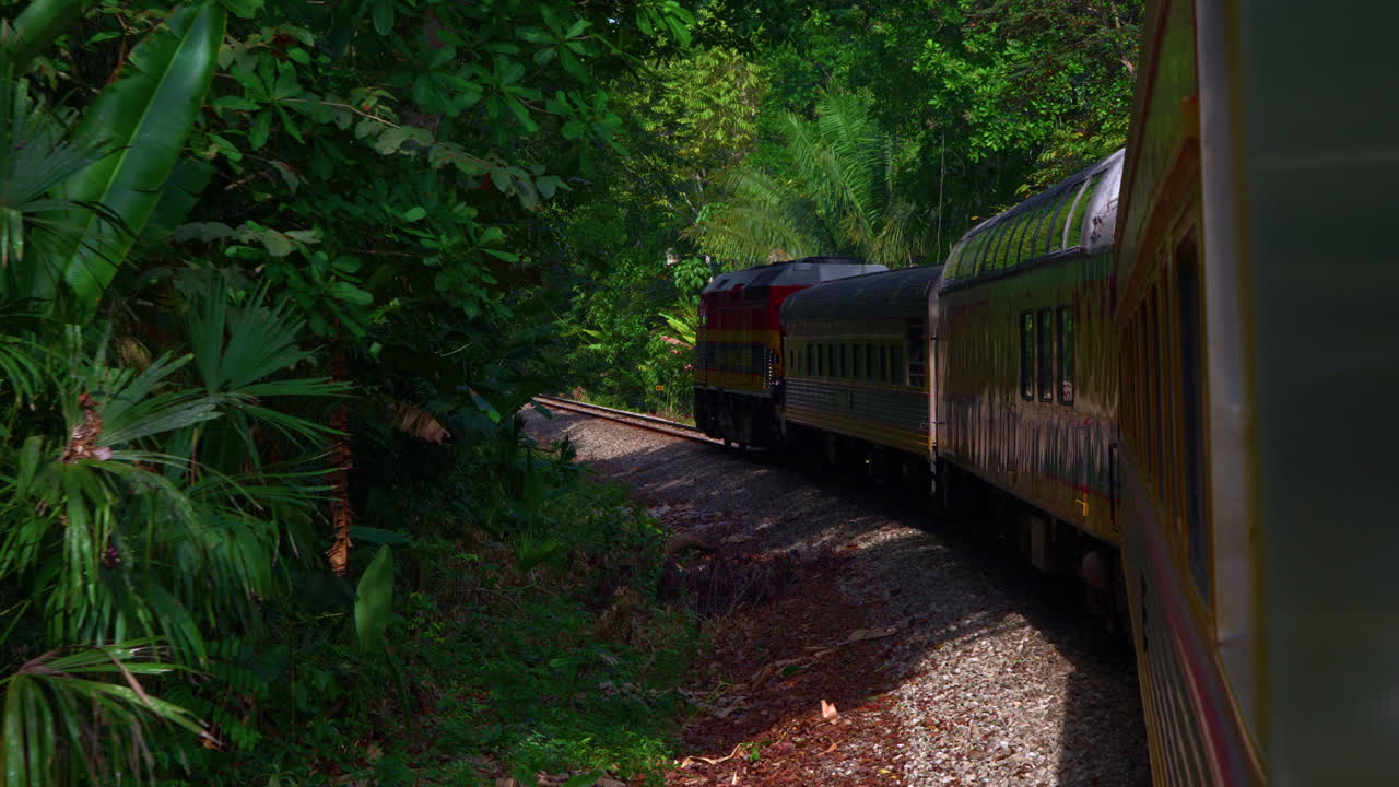slowmotion shot of a train driving through the rainforest in Panama in the summer