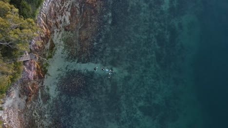 Vista-única-De-Drones-Altos-Mirando-Hacia-Abajo-A-Un-Grupo-De-Buceadores-Que-Se-Preparan-Para-Instalar-Equipos-Para-Bucear-En-Un-Arrecife-Tropical-En-Agua-Azul-Clara