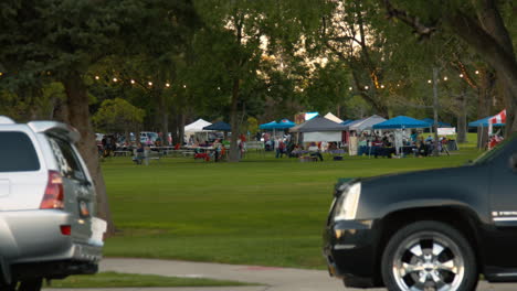 community craft fair in a park