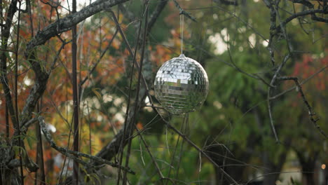 una bola de discoteca brillante colgando de un árbol