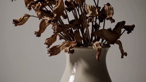 still life of dead flowers in a vase