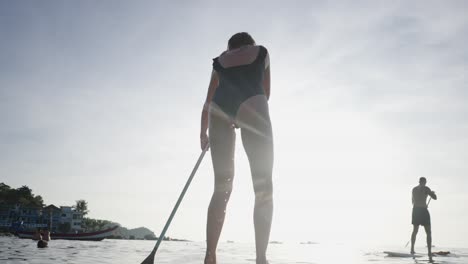people paddleboarding on a sunny day